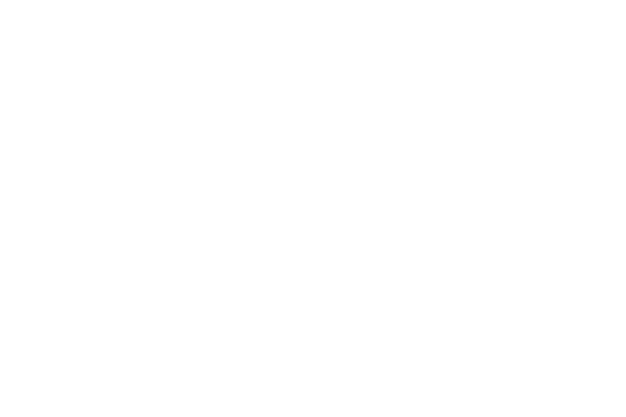 Elina Styling